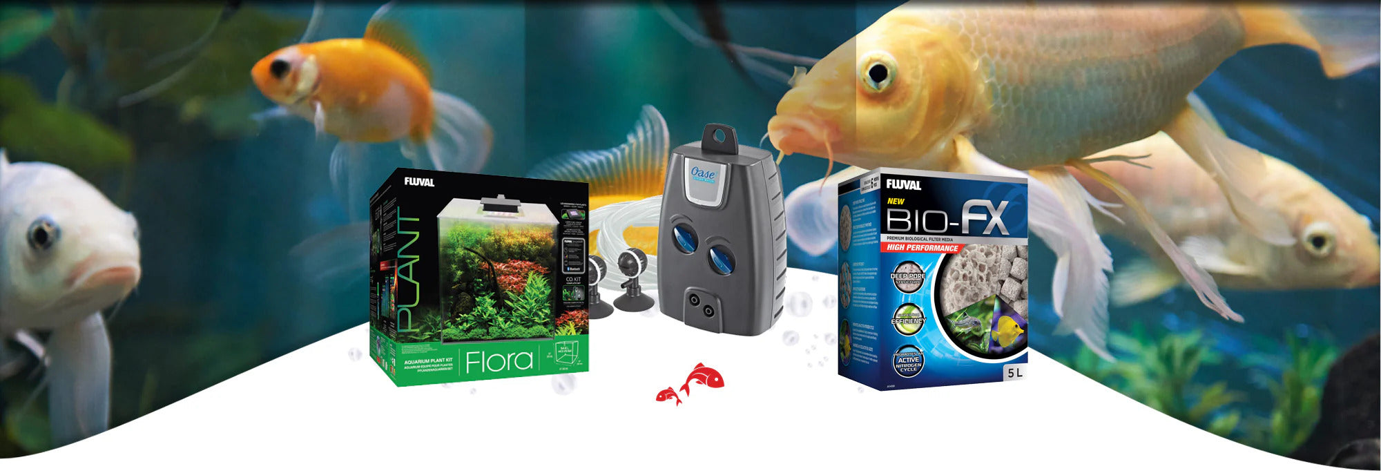 fish accessories online shopping Buy Aquarium Co-Op Airline Holders (5 pack) - Your Local Store Vancouver Starter Kits Easy bnafes Fish Net for Fish