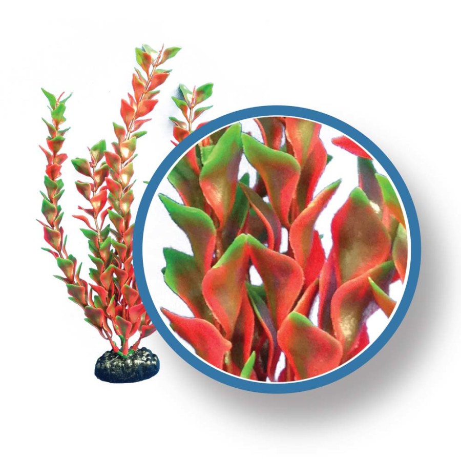 weco-freshwater-pro-series-red-ludwigia-aquarium-plant