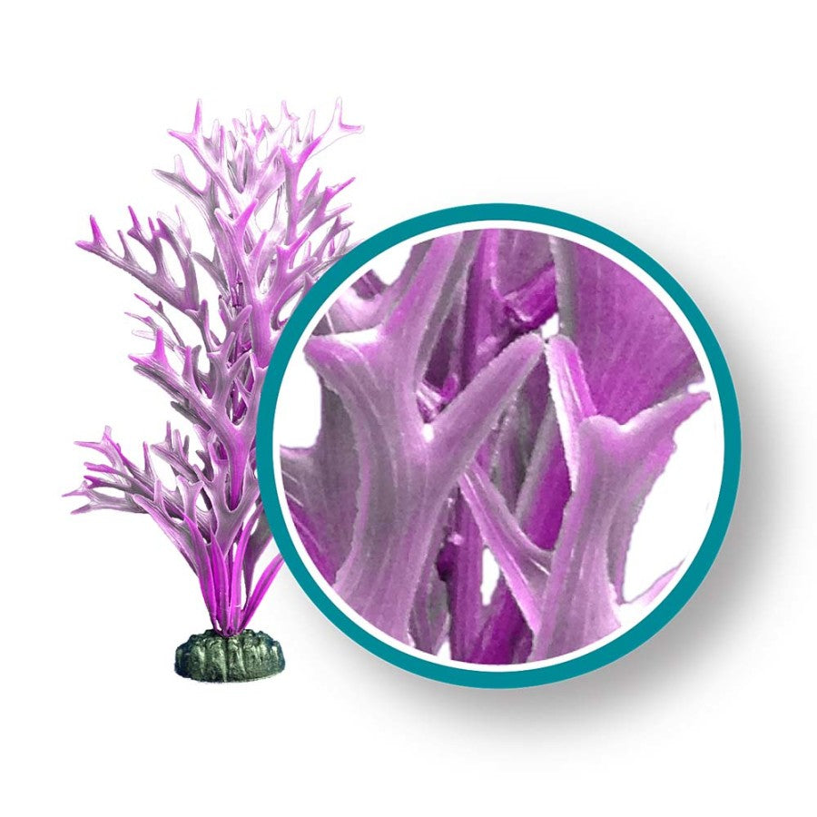 weco-marine-pro-series-purple-giant-kelp-aquarium-plant