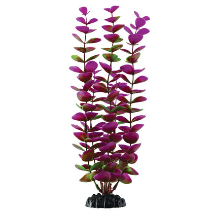 underwater-treasures-plum-bacopa-11-inch