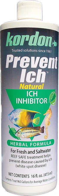 kordon-prevent-ich-16-oz