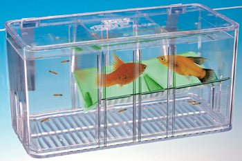 penn-plax-5-way-breeding-trap