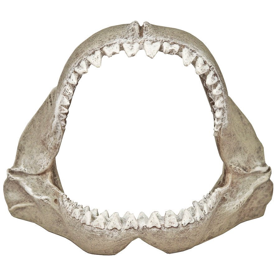 blue-ribbon-exotic-environments-great-white-shark-jaws-small