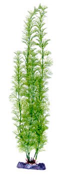 Penn Plax Flowering Cabomba Plant 18 Inch