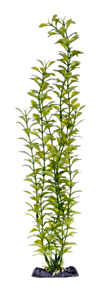 penn-plax-blooming-ludwigia-plant-green-18-inch