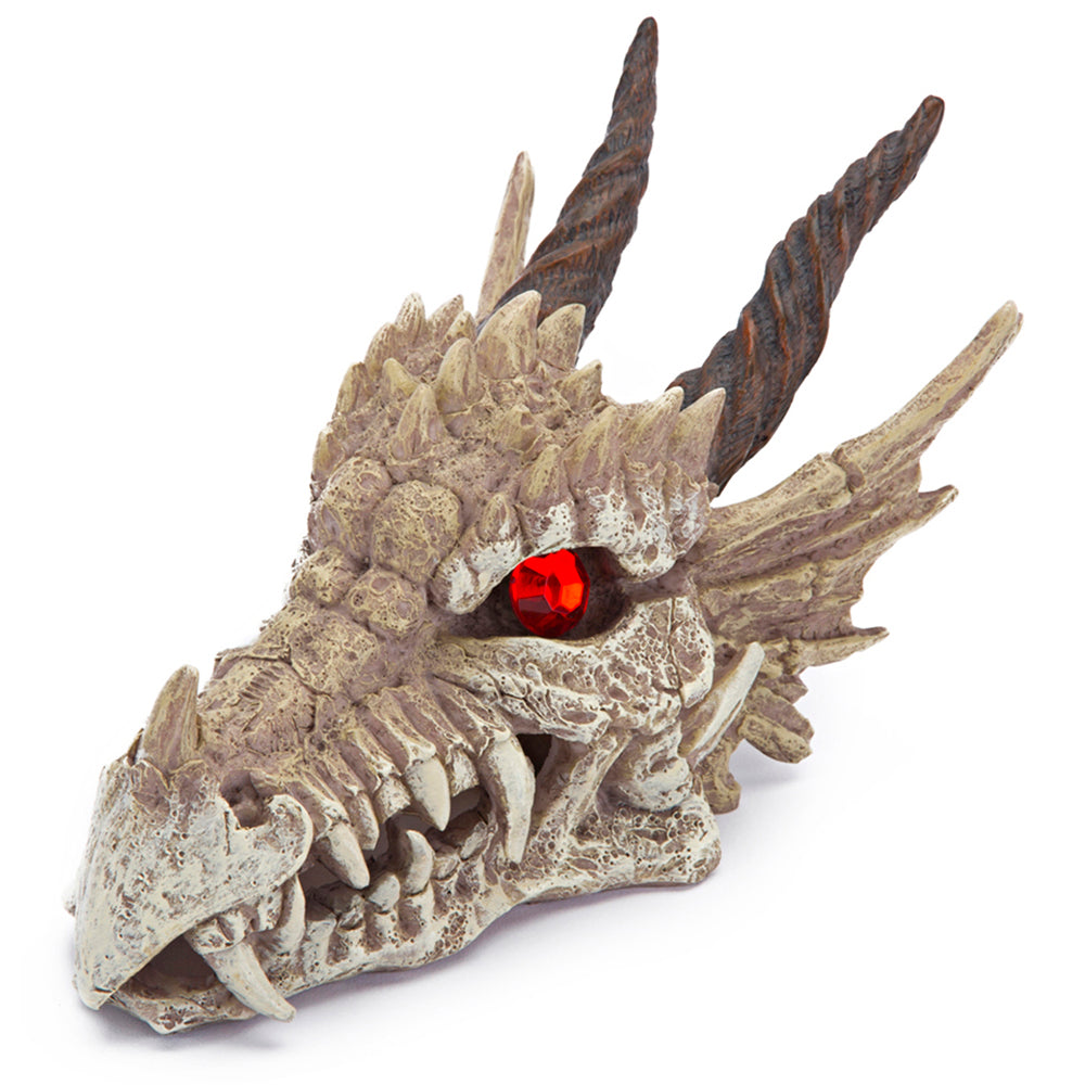 penn-plax-tide-treasure-dragon-skull-grazer-large