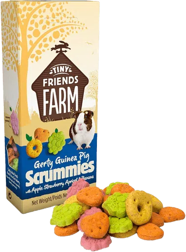 tiny-friends-farm-gerty-guinea-pig-scrummies-treat
