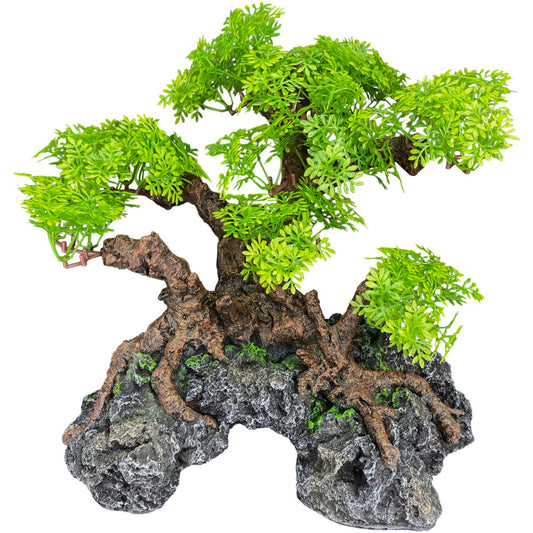 komodo-bonsai-tree-hide-large