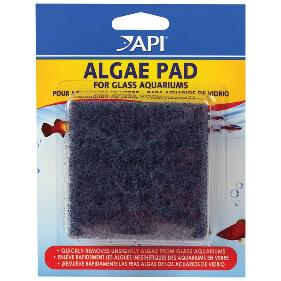 api-algae-pad-glass-aquarium