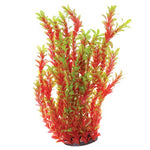 underwater-treasures-red-ludwigia-plant-20-inch