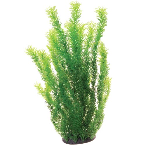 underwater-treasures-cabomba-plant-20-inch