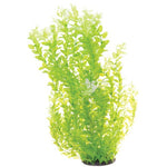 underwater-treasures-white-tipped-cardamine-plant-24-inch