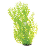 underwater-treasures-white-tipped-cardamine-plant-24-inch