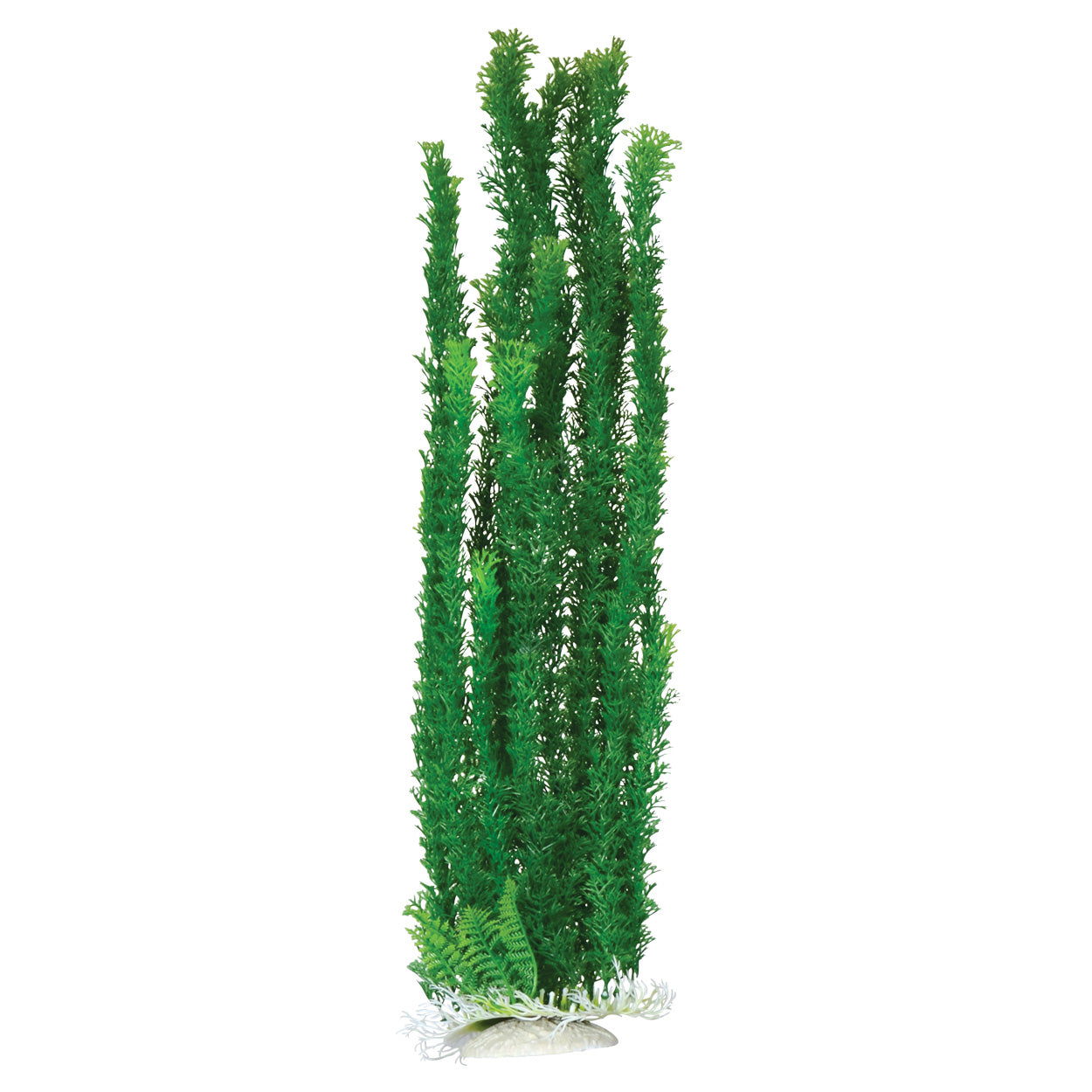 underwater-treasures-cabomba-plant-24-inch