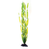 underwater-treasures-green-vallisneria-plant-20-inch