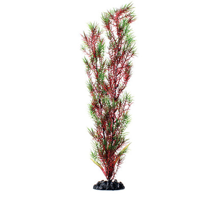underwater-treasures-red-green-springeri-plant-16-inch