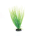 underwater-treasures-green-hairgrass-plant-8-inch