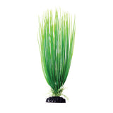 underwater-treasures-green-hairgrass-plant-12-inch