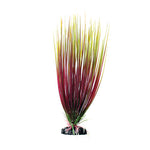 underwater-treasures-red-green-hairgrass-plant-12-inch