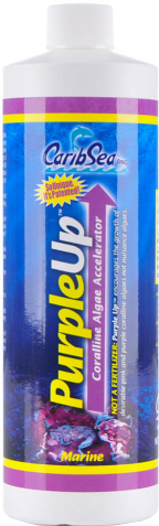 carib-sea-purple-up-16-oz