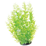 underwater-treasures-white-tipped-cardamine-plant-12-inch