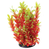 underwater-treasures-red-ludwigia-plant-12-inch