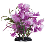 underwater-treasures-fuscia-moon-plant-7-5-inch
