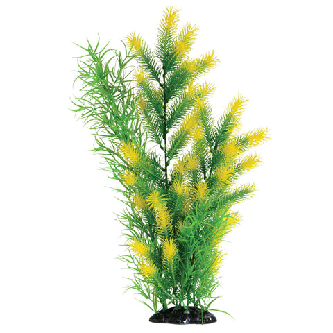 underwater-treasures-morning-sun-fern-plant-20-inch