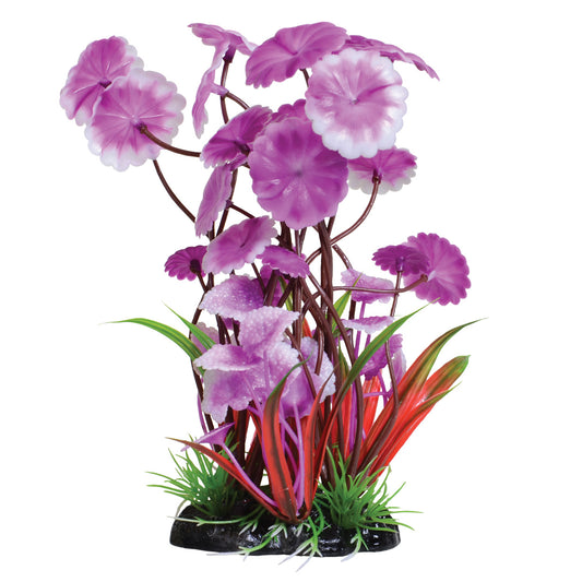 underwater-treasures-fuscia-love-lily-plant-8-inch