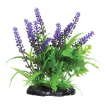 underwater-treasures-purple-passion-plant-6-inch