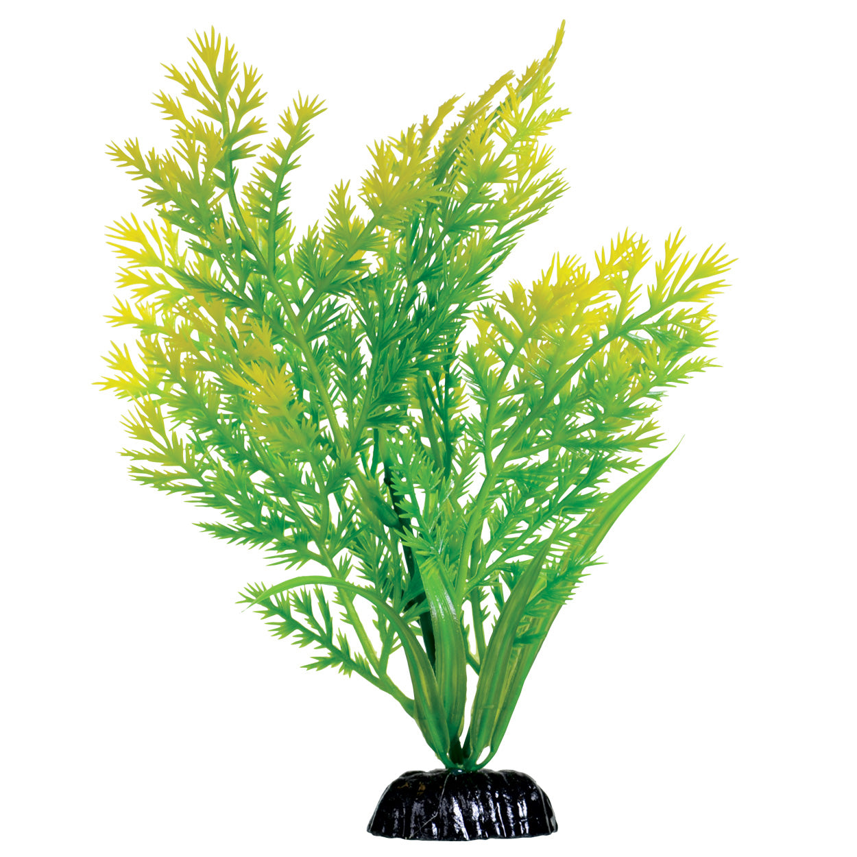 underwater-treasures-water-violet-plant-8-inch