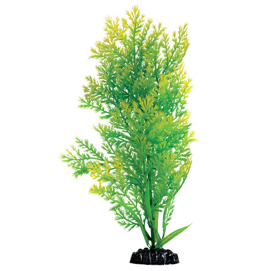 underwater-treasures-water-violet-plant-12-inch