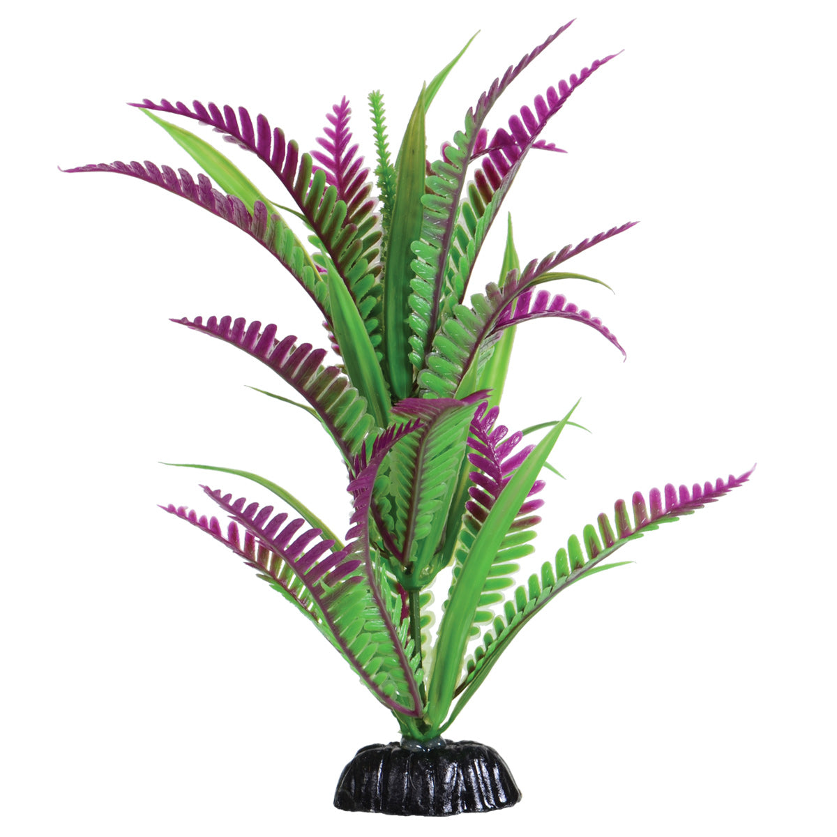 underwater-treasures-lonely-heart-fern-plant-8-inch