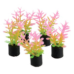 underwater-treasures-mini-plant-pink-green-1-5-inch-5-pack