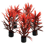 underwater-treasures-mini-plant-red-brown-3-inch-5-pack