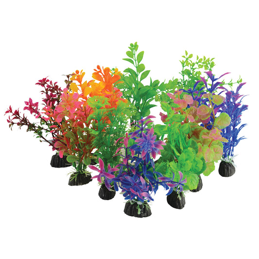 underwater-treasures-plant-rock-10-pack-small