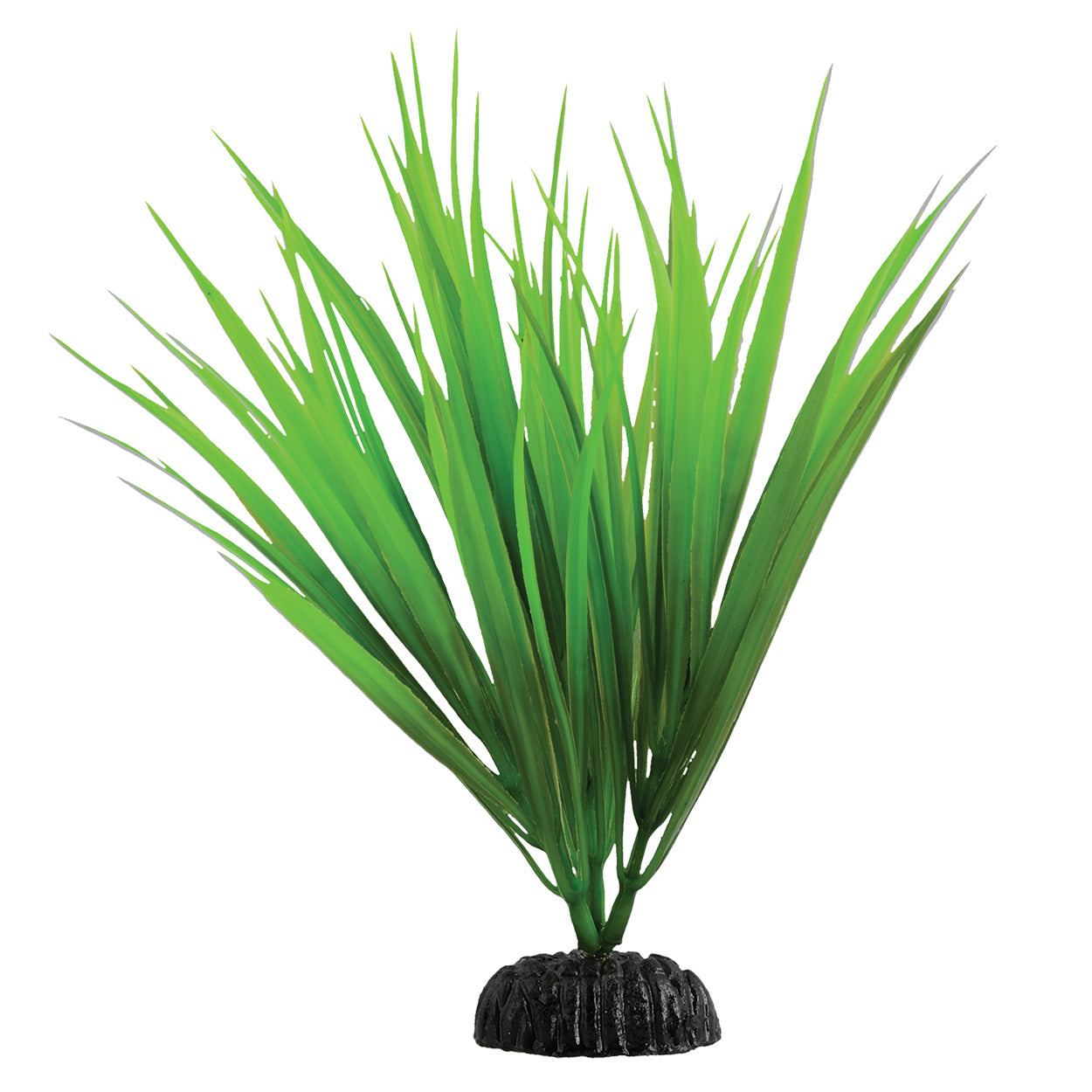 underwater-treasures-green-nile-grass-plant-8-inch