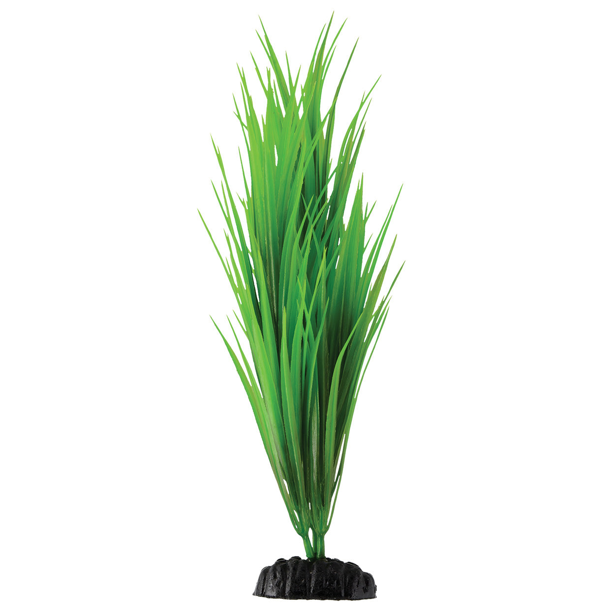 underwater-treasures-green-nile-grass-plant-12-inch