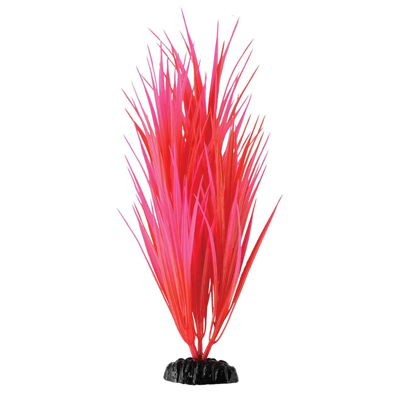 underwater-treasures-rose-nile-grass-11-5-inch