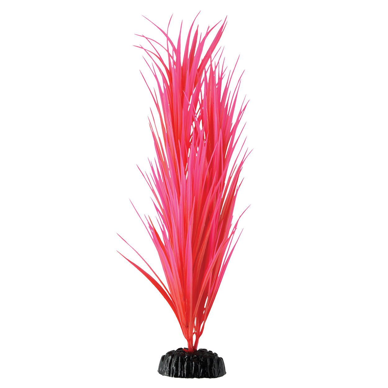 underwater-treasures-rose-nile-grass-14-25-inch