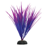 underwater-treasures-purple-nile-grass-plant-8-inch