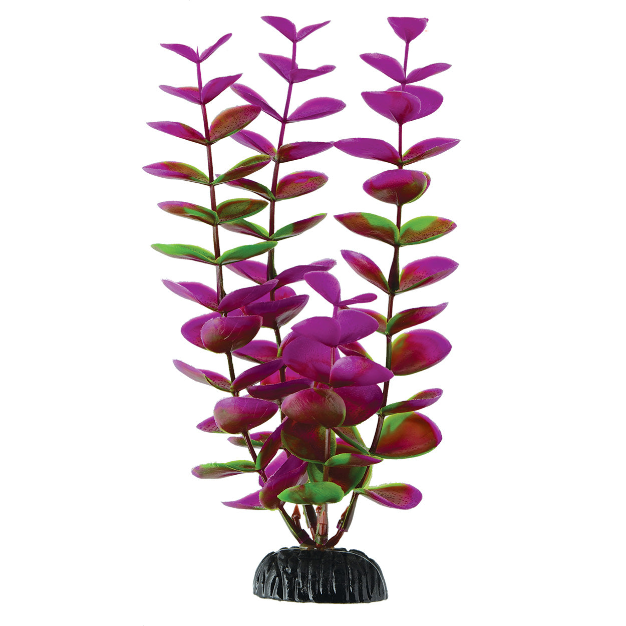 underwater-treasures-plum-bacopa-8-inch