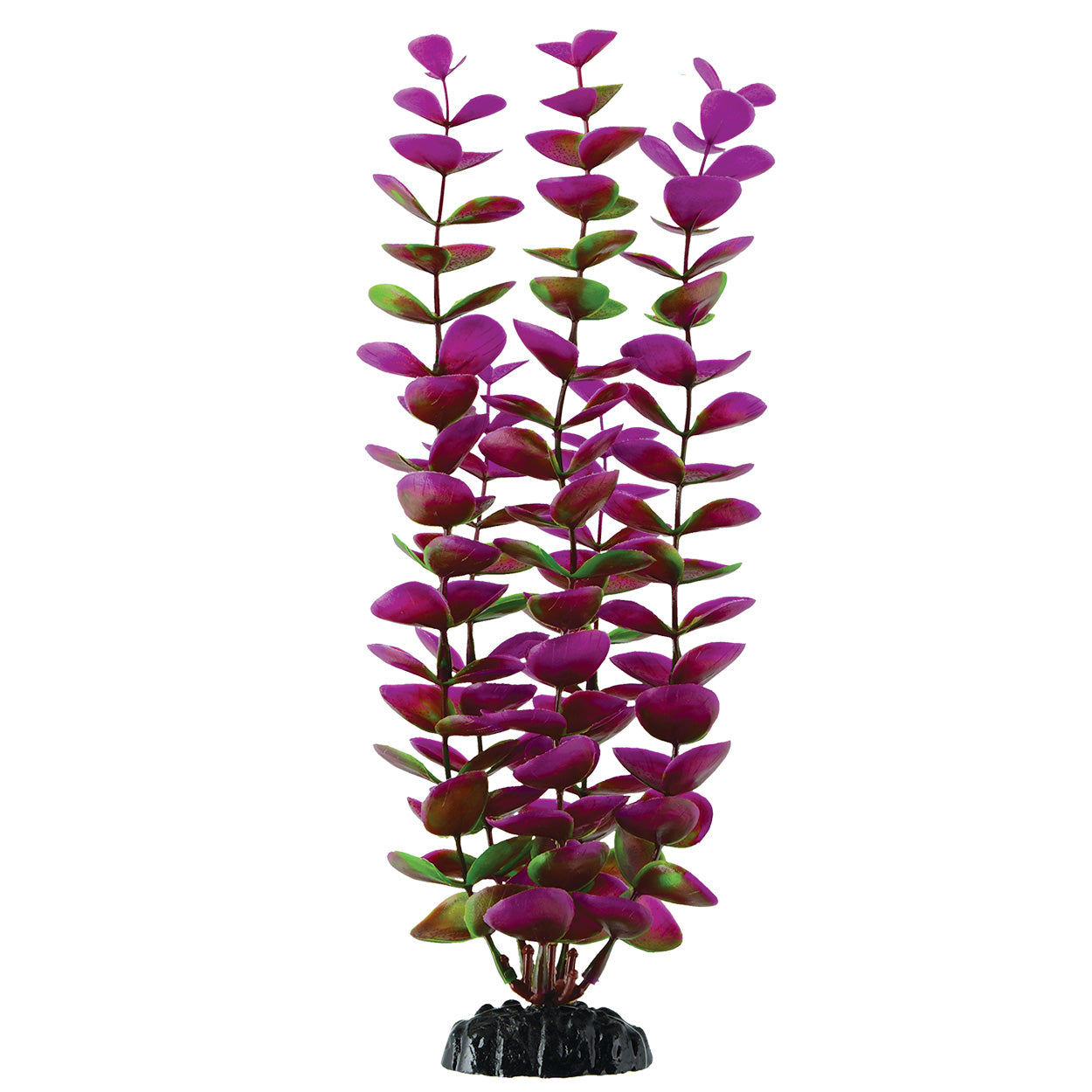 underwater-treasures-plum-bacopa-11-inch