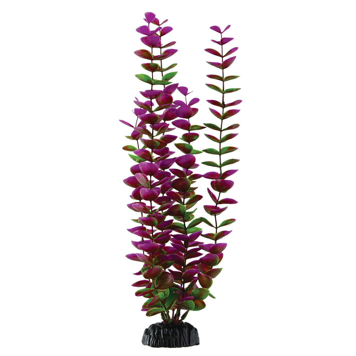 underwater-treasures-plum-bacopa-14-5-inch