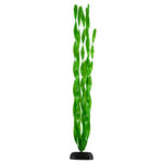 underwater-treasures-green-vallisneria-plant-24-inch