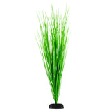 underwater-treasures-green-hairgrass-plant-24-inch