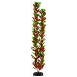 underwater-treasures-red-green-bacopa-plant-24-inch