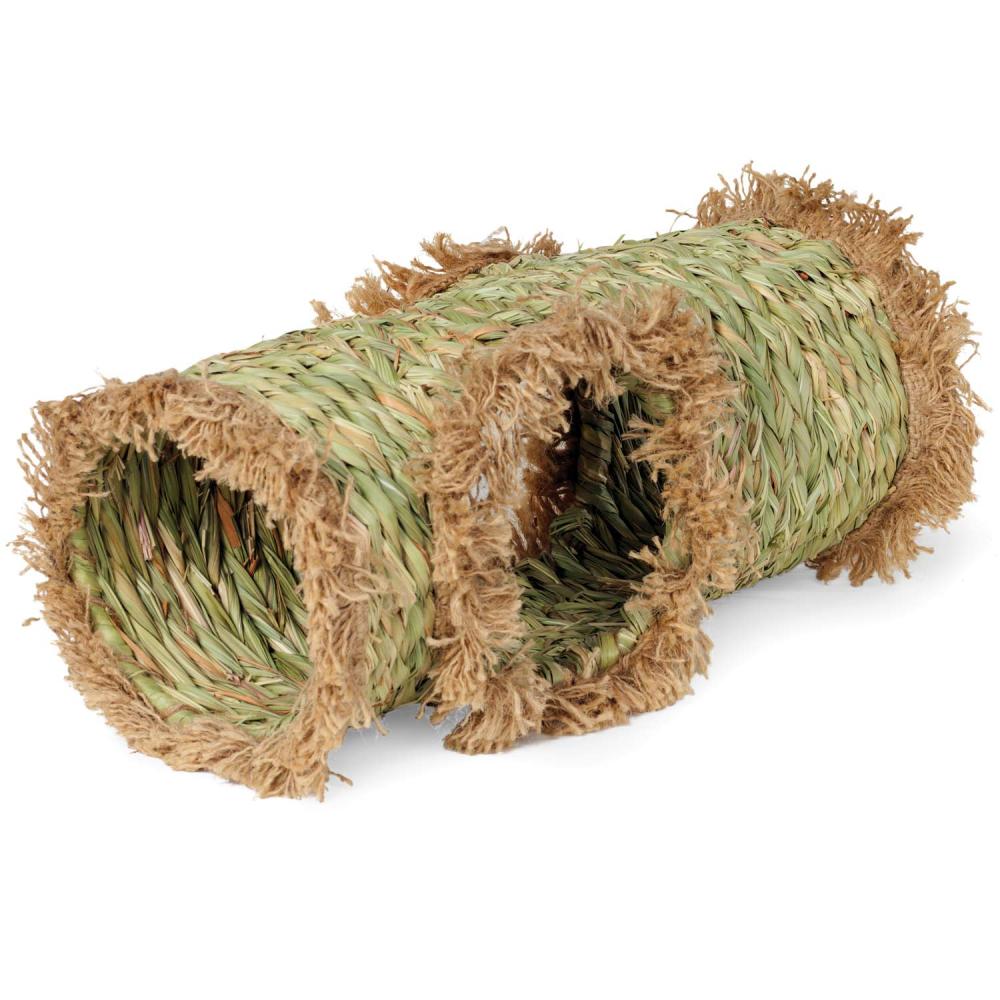 prevue-pet-grass-tunnel