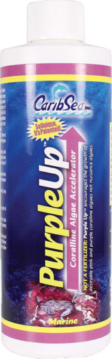 carib-sea-purple-up-8-oz