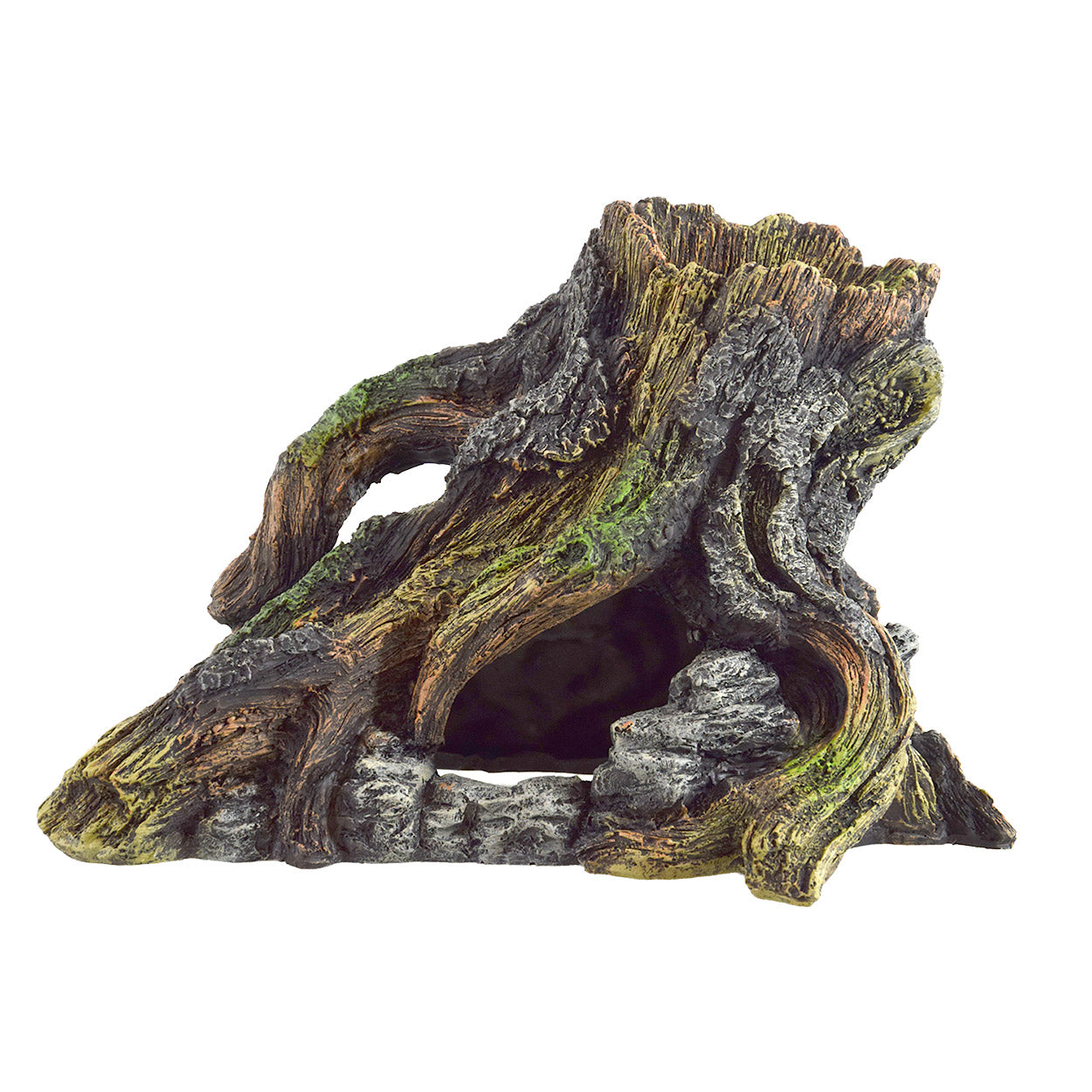 underwater-treasures-twisted-stump